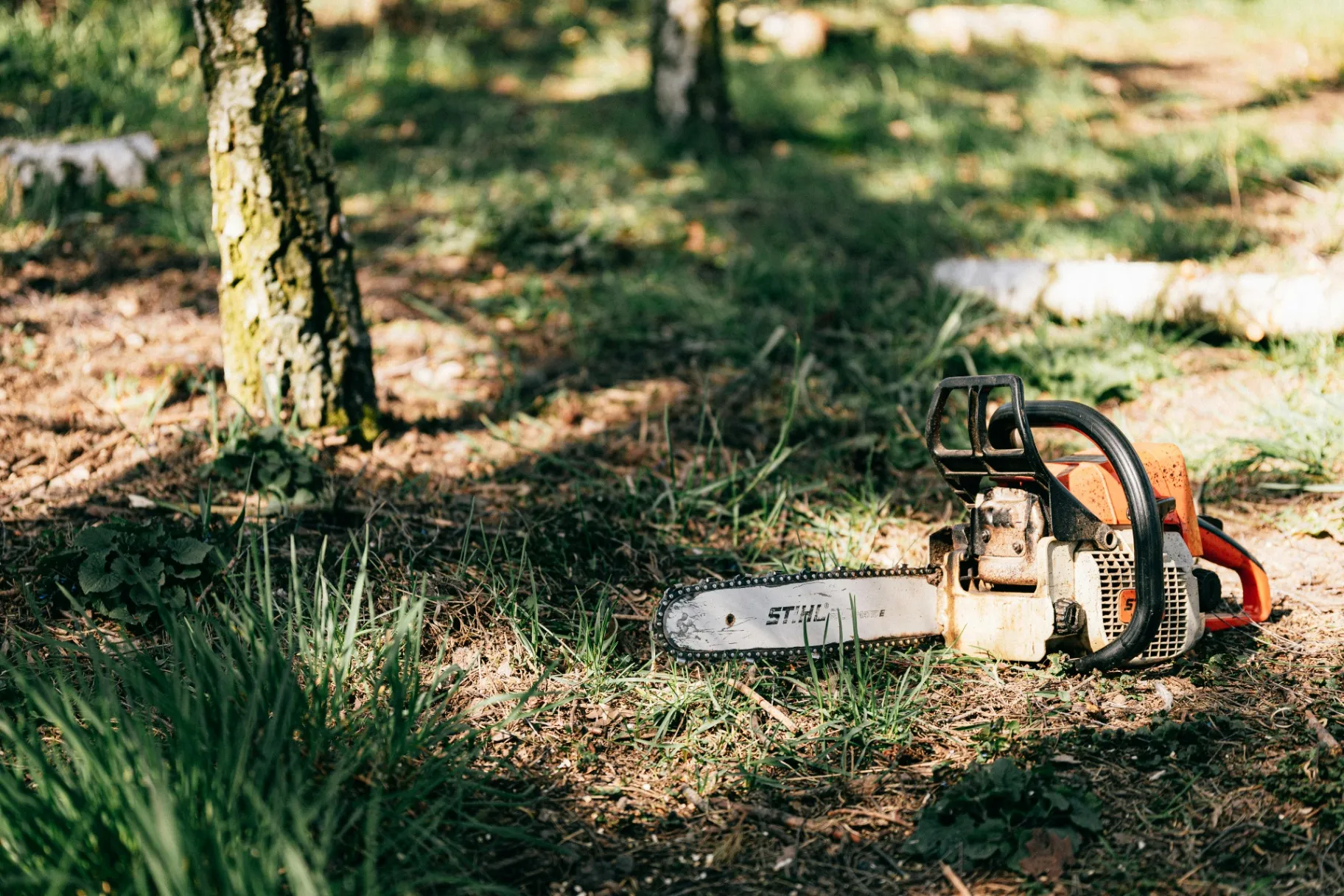 Chainsaw on the ground near trees at a Denver tree service job site