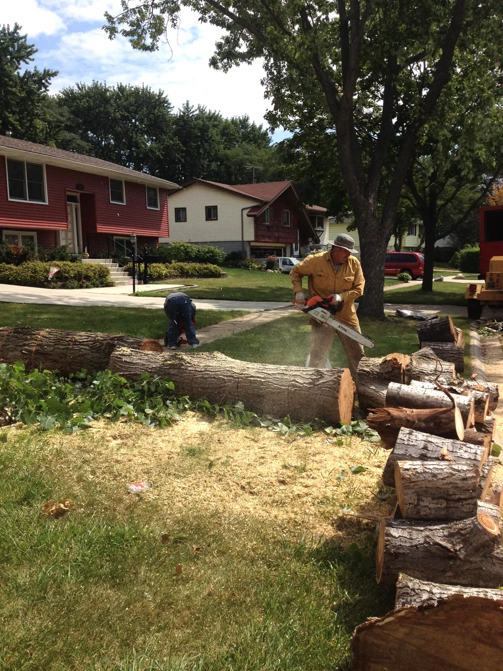 Stump grinding and yard cleanup after tree removal